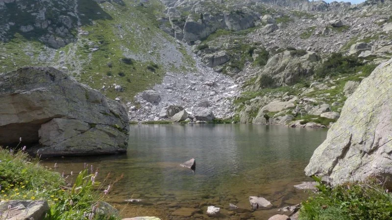 Zdjęcie: Muzyczny chills: dlaczego niektóre piosenki wywołują dreszcze